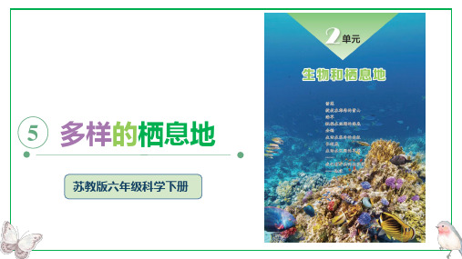 苏教版科学六年级下册5 多样的栖息地课件