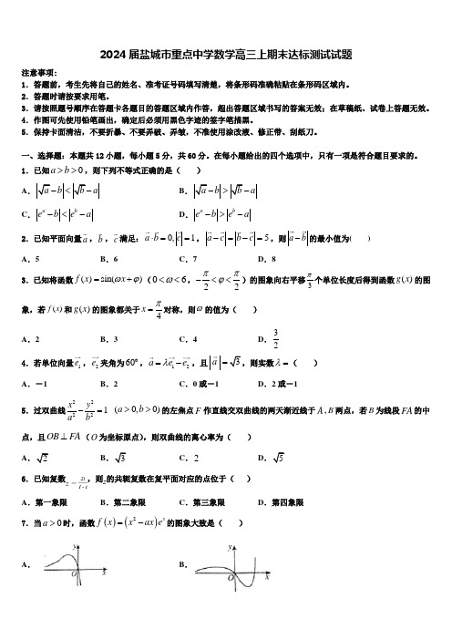 2024届盐城市重点中学数学高三上期末达标测试试题含解析