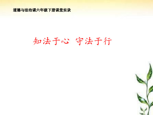 初中道德与法治_知法于心守法于行教学课件设计