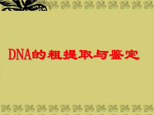 高中生物 DNA粗提取与鉴定课件 苏教版选修1