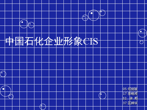 中国石化CIS