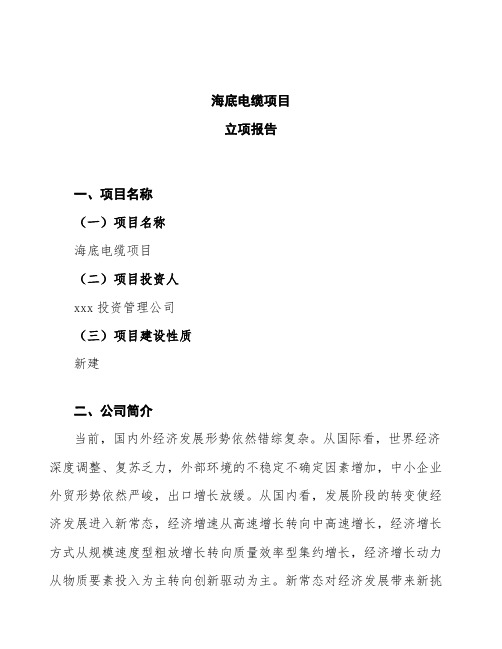 海底电缆项目立项报告