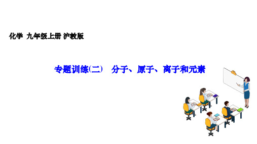 沪教版(全国)(2024)化学九年级上册+习题+第3章 专题训练(二) 分子、原子、离子和元素  