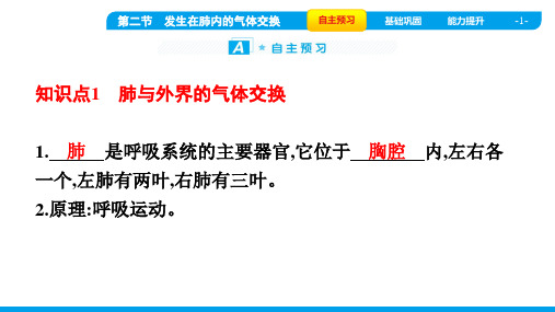 2022年人教版七年级下册生物第三章人体的呼吸 第二节发生在肺内的气体交换