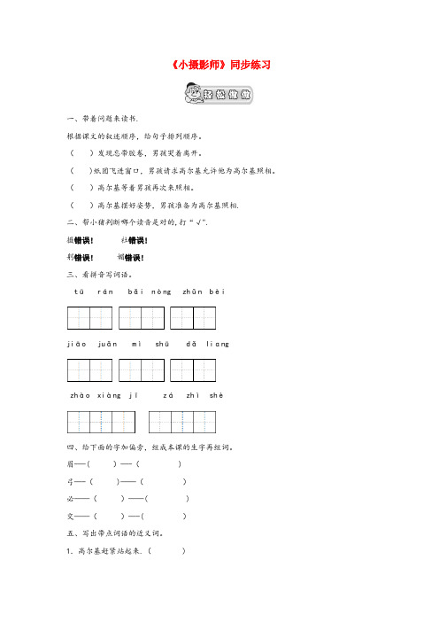 宁阳县一小三年级语文上册第二单元6小摄影师课文同步练习无答案鲁教版