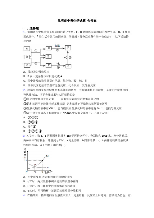 昆明市中考化学试题 含答案