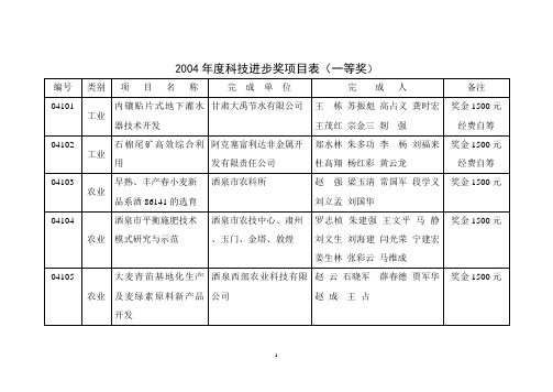 2004年度科技进步奖项目表(一等奖)