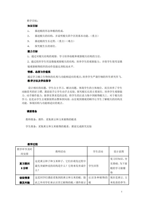 山东省枣庄市峄城区吴林街道中学八年级生物上册 415 根的结构与功能(第一课时)教案 济南版