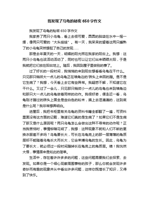 我发现了乌龟的秘密650字作文