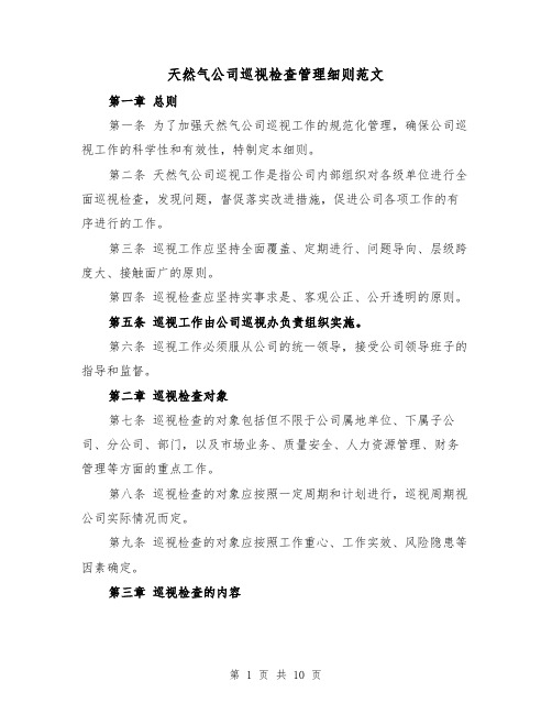 天然气公司巡视检查管理细则范文(4篇)