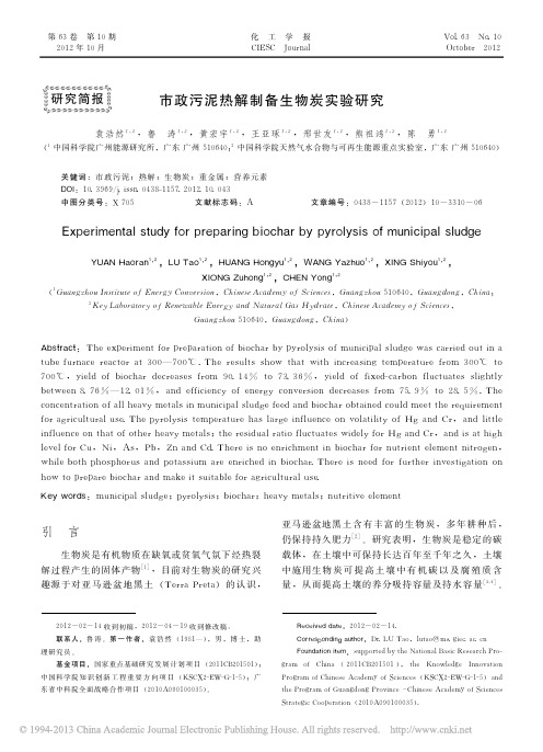 市政污泥热解制备生物炭实验研究_袁浩然