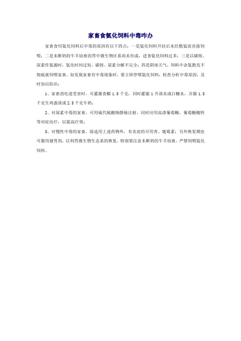 家畜食氨化饲料中毒咋办