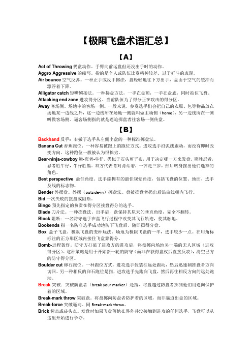 【极限飞盘术语汇总】