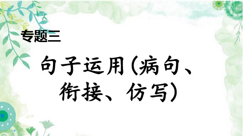 部编七年级下册语文专题三 句子运用(病句、衔接、仿写)期末专项复习