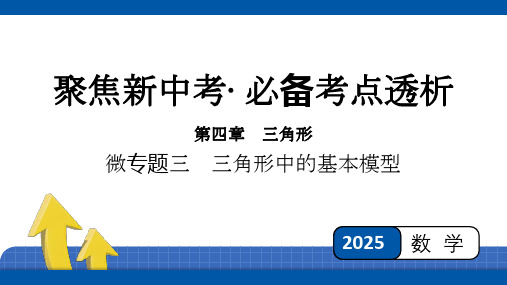 2025年四川省聚焦中考数学必备考点透析-第4章 三角形微专题三 三角形中的基本模型