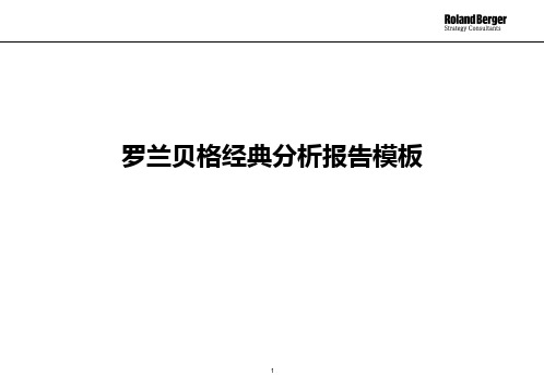 罗兰贝格经典分析报告模板