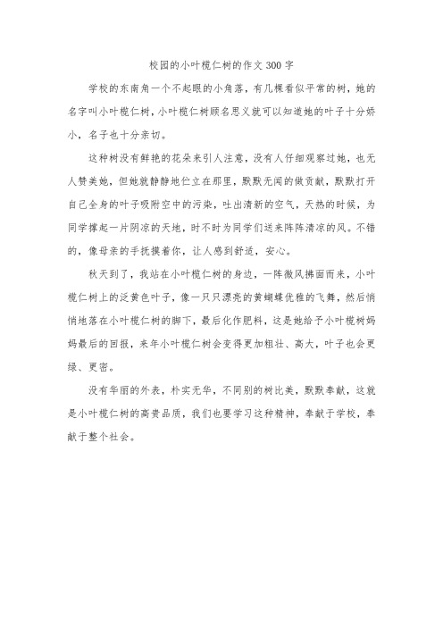 校园的小叶榄仁树的作文300字