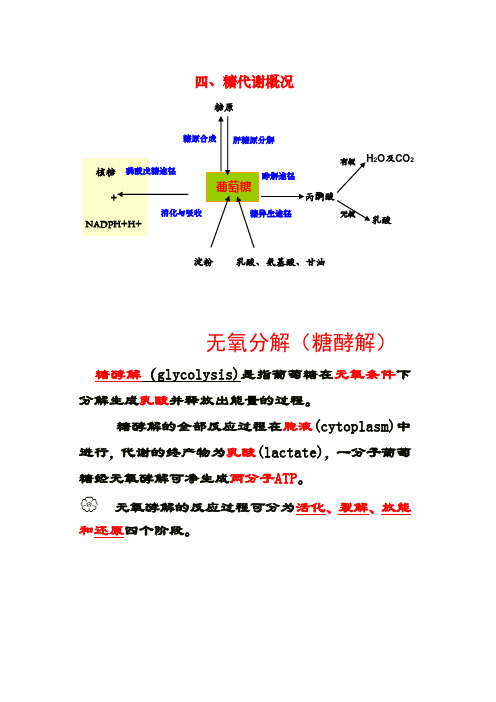 糖酵解特点