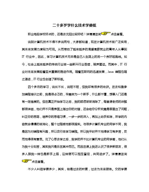 男孩二十多岁学什么技术学费低