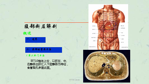 断层解剖学课件