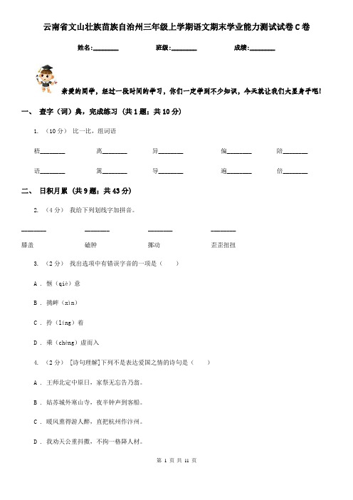 云南省文山壮族苗族自治州三年级上学期语文期末学业能力测试试卷C卷