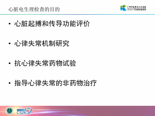 医学交流课件：基础电生理与心脏解剖