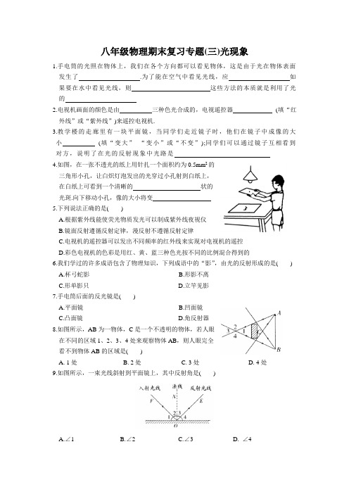 江苏省苏州市八年级物理期末复习专题提优(三)光现象(苏科版)【含答案】