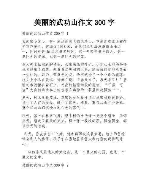 美丽的武功山作文300字