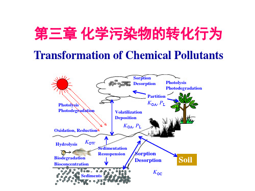 环境化学 2008_第三章 化学污染物的转化行为