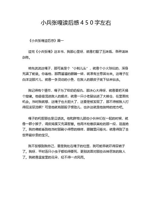 小兵张嘎读后感4 5 0字左右