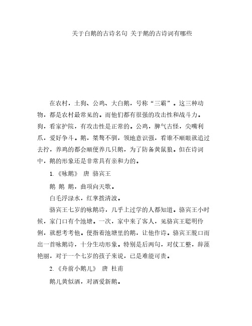 关于白鹅的古诗名句 关于鹅的古诗词有哪些