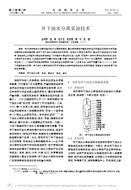 井下油水分离采油技术