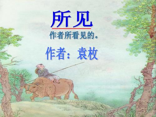 《所见》ppt