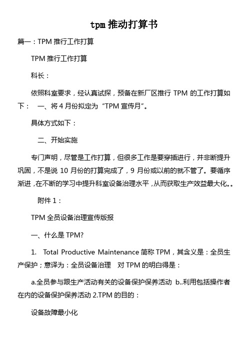 tpm推动打算书doc