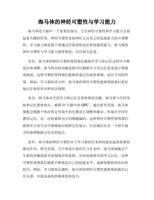 海马体的神经可塑性与学习能力