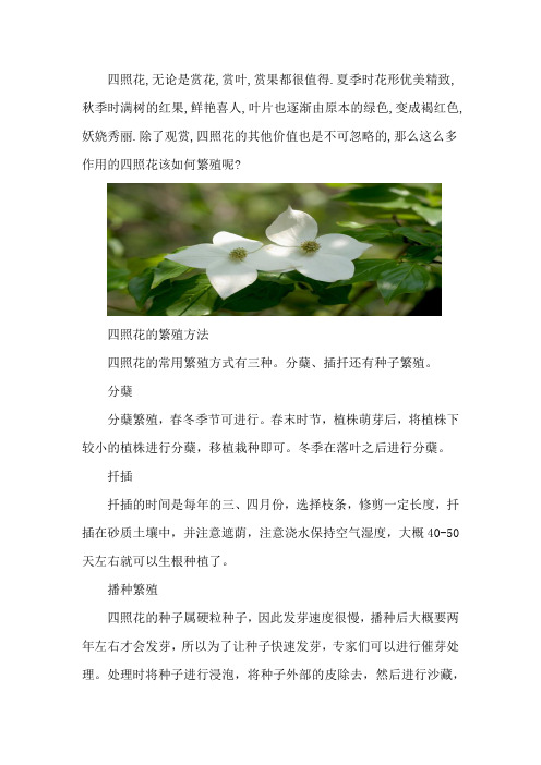 四照花的繁殖方法