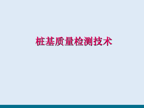 桩基础检测技术概述