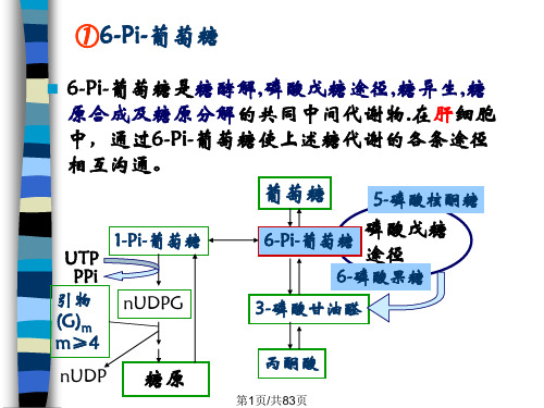 物质代谢的相互联系与调控PPT课件