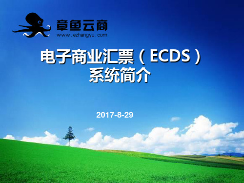 电子商票(ECDS)系统简介-2017829