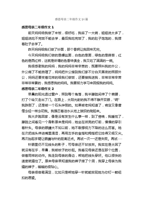 感恩母亲二年级作文14篇