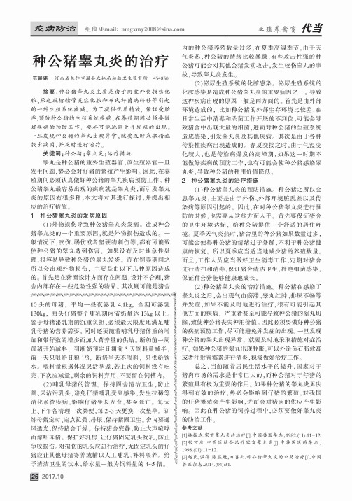 种公猪睾丸炎的治疗