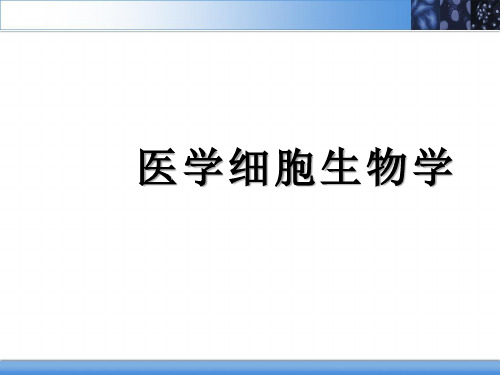 医学细胞生物学PPT：细胞衰老与细胞死亡