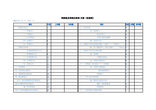 利润表及利润分配表-月报(担保类)