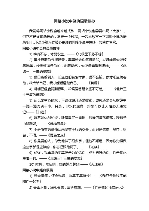 网络小说中经典语录摘抄