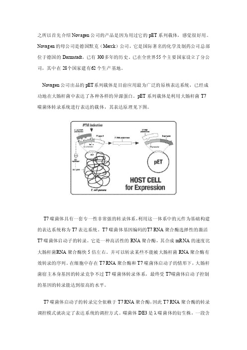 如何做原核表达——面面俱到Novagen产品