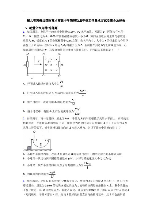 湖北省黄梅县国际育才高级中学物理动量守恒定律各地方试卷集合及解析