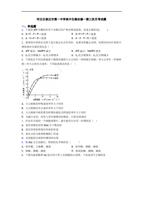 河北石家庄市第一中学高中生物必修一第三次月考试题