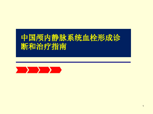 静脉窦血栓形成PPT精选课件