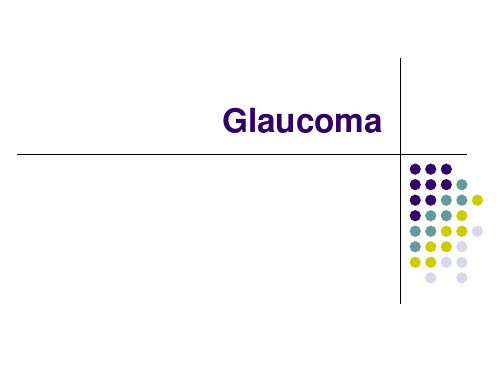 眼科学教学课件:08 Glaucoma-2017英文班