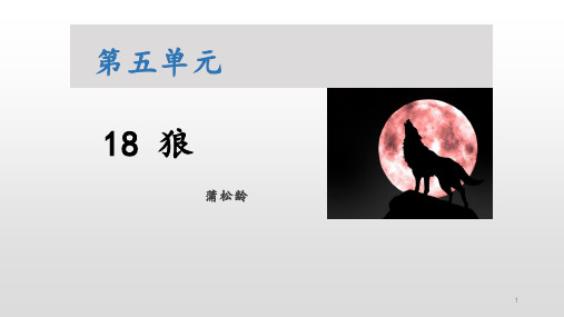 第 18 课《狼 》课件(38张PPT) 部编版语文七年级上册